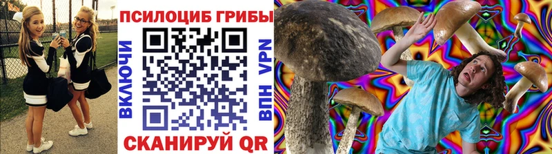 кракен ссылки Полысаево маркетплейс состав Псилоцибиновые грибы мицелий