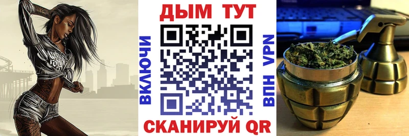 где купить наркотик  Полысаево  Бошки марихуана конопля 